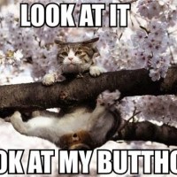 The 7 Habits of Highly Effective&nbsp;Assholes